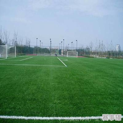 标准足球场有坡度吗？探秘足球场设计背后的玄机